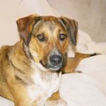 Butch's Favorite Girl Layla